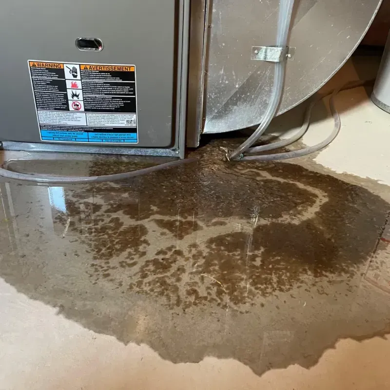 Appliance Leak Cleanup in Monroe County, WV